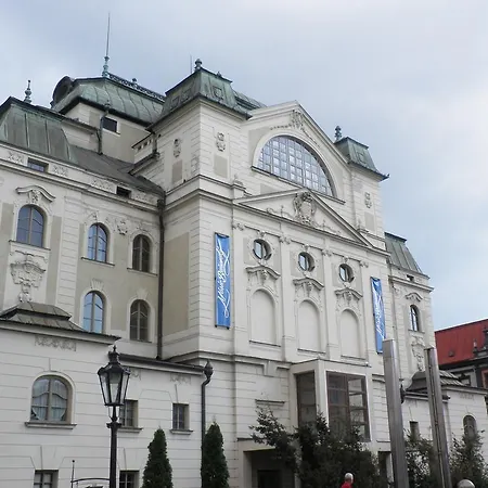 中心会议酒店 3*