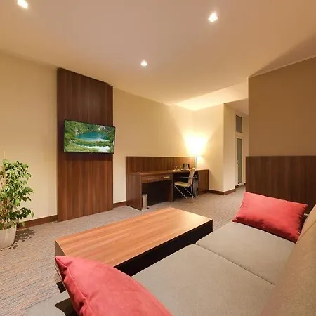 中心会议酒店 酒店